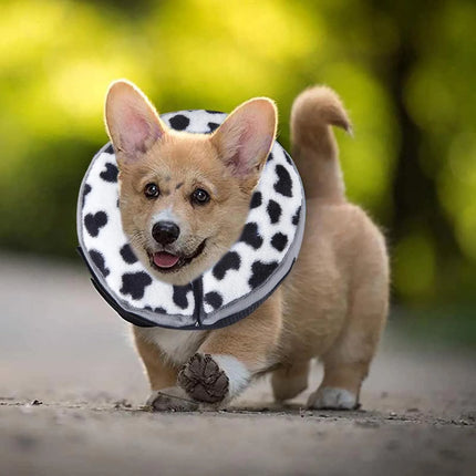 Inflatable Donut Dog Collar for Small and Large Dogs