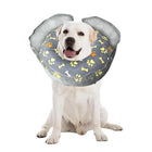 Dog Blow Up Cone Recovery Collar for Dogs & Cats