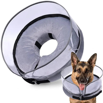 dog protective collar inflatable