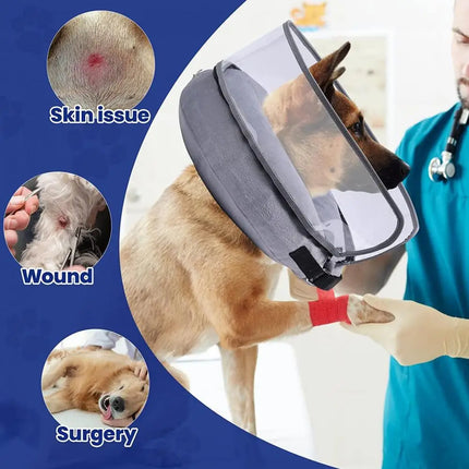 inflatable dog collar after surgery